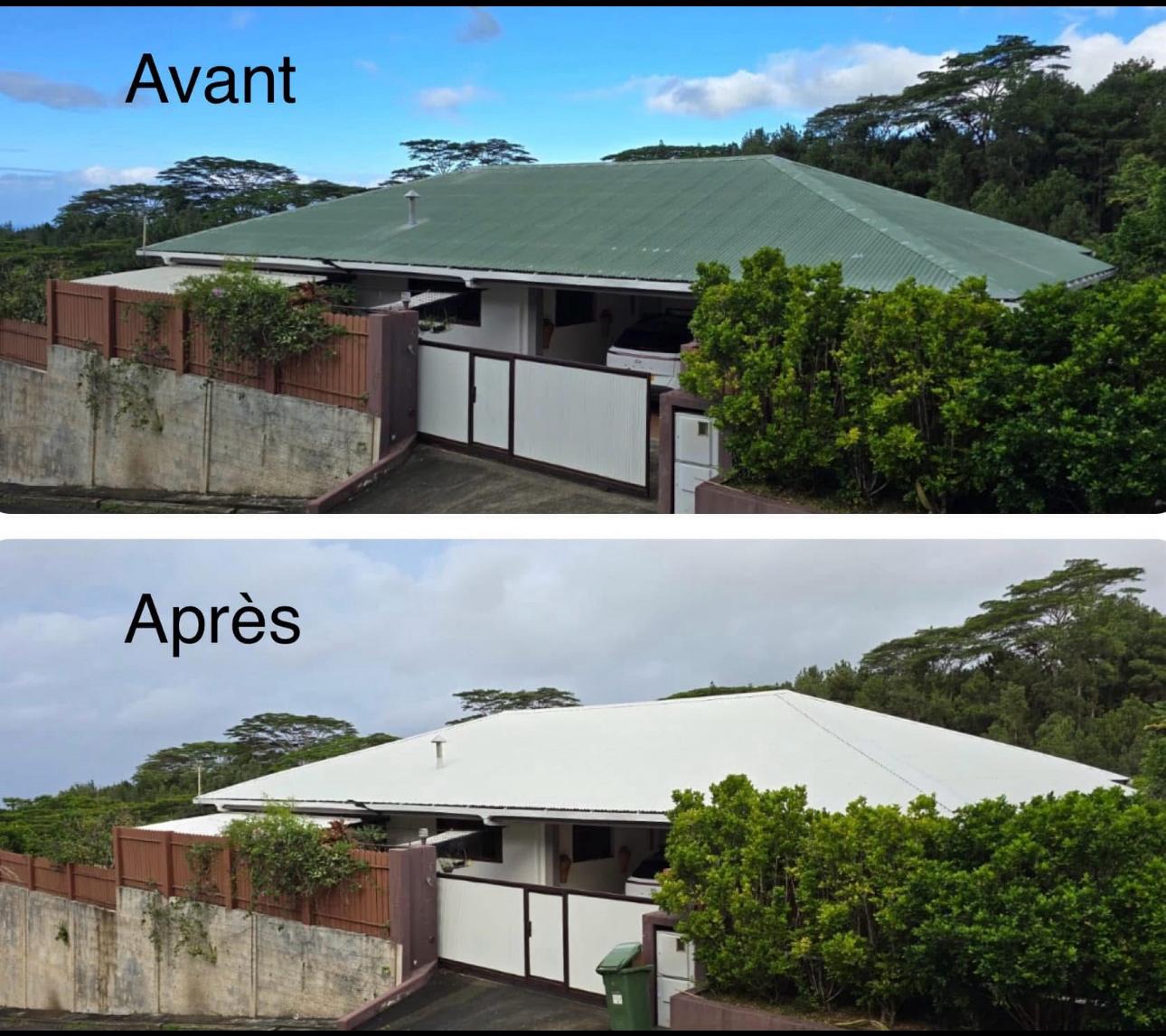Rénovation et peinture de toiture — avant et après
